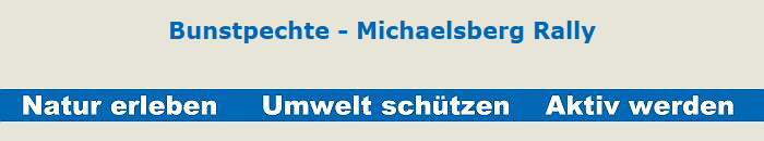 Bunstpechte - Michaelsberg Rally